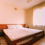 Spacious Apartment Near Peles