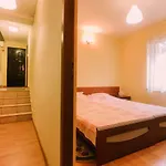 Spacious Apartment Near Peles