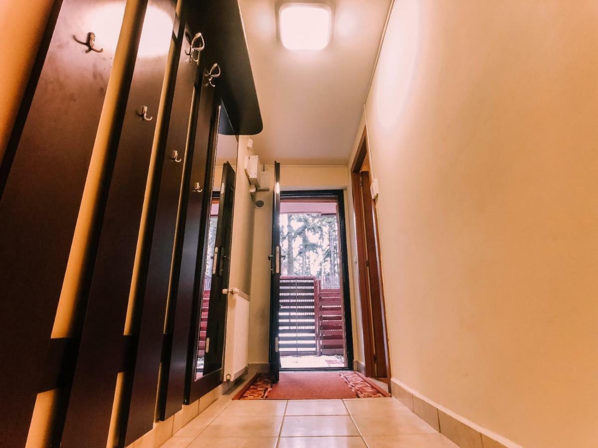 Apartament Spacious Near Peles *