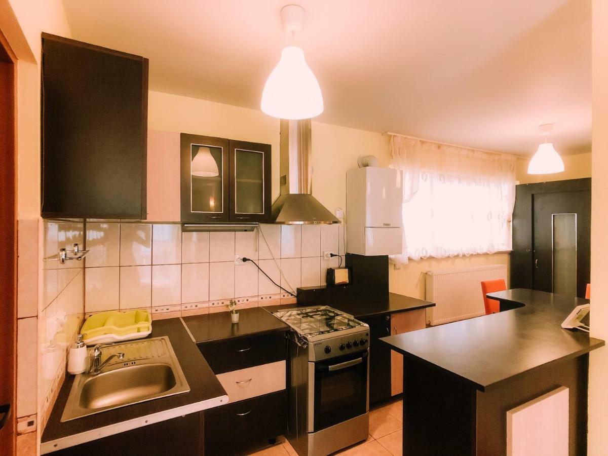 Spacious Near Peles Apartment Sinaia